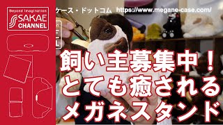 飼い主募集中！と～っても癒されるメガネスタンドのご紹介。