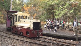 2018/10/28　秋の赤沢森林鉄道・信州木曽上松