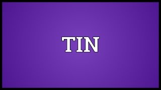 TIN Meaning