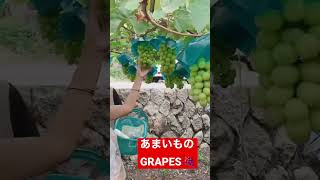 🍇甘いものぶどうおいしい買った山梨から🍇 | SHORTS VIDEO | YOUTUBE SHORTS | ROSEL WATANABE