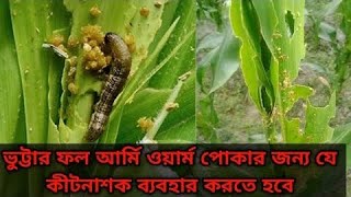 ভূট্টার ফল আর্মি ওয়ার্ম পোকা দমন করবেন যেভাবে||ক্ষতির লক্ষণ ও দমন ব্যবস্থাপনা!!