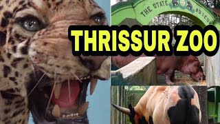 Thrissur Zoo 2022 | 2nd Largest & Oldest Zoo in Kerala -  Must Watch!! | Renny's Dream World |