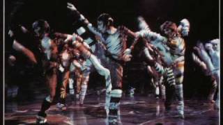 Cats the Musical Video Cast