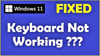 Keyboard Not Working in Windows 11 | How to Fix Keyboard Not Detecting Problem