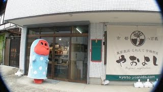 厳選こだわり野菜を販売する八百屋さん - 京都やおよし