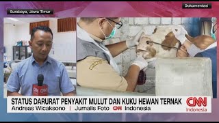 Status Darurat Penyakit Mulut dan Kuku Hewan Ternak