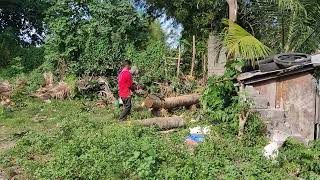 20220217 Philippines Freehand Chainsaw Lumber Mill 1