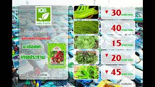 ราคาผักประจำวันที่ 22 ธันวาคม 2564 108เทคโนฟาร์ม