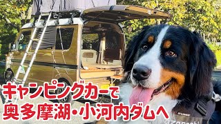 初めてのキャンビングカーでバーニーズマウンテンドッグと奥多摩湖・小河内ダムへ