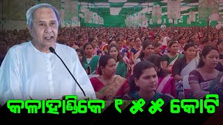 Kalahandi News: କଳାହାଣ୍ଡି ଜିଲ୍ଲାନେ ମୁଲ୍ ହେଲା “ଆମ ଓଡ଼ିଶା ନବୀନ ଓଡ଼ିଶା”... ଗାଁ ଗାଁର୍ ହେବା ବିକାଶ୍...