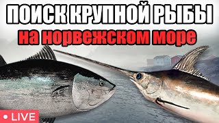 РР4 СТРИМ • ЛУЧШАЯ ТОЧКА ДЛЯ ФАРМА НА НОРВЕСЖКОМ МОРЕ ? • РОЗЫГРЫШИ • РУССКАЯ РЫБАЛКА 4