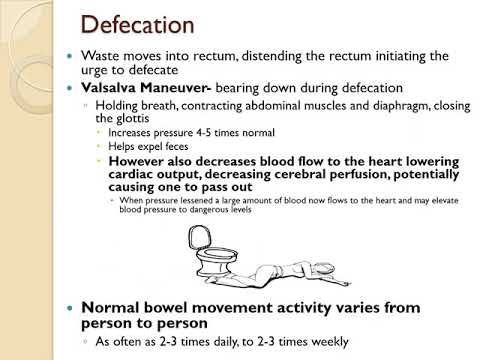 Fundamentals Ch 38 Bowel Elimination - YouTube