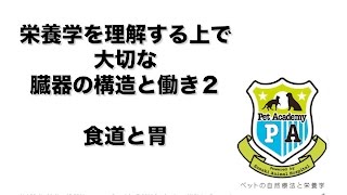 【2011年11月】ペットの栄養学 栄養学を理解する上で大切な臓器の構造と働き その２ 食道と胃