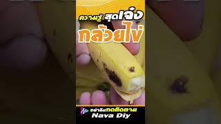 กล้วยไข่ ใครกินบ่อย รู้เอาไว้ | Nava DIY