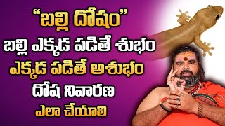 బల్లి మీద పడితే దోషం ఉంటుందా? || Balli Sastram