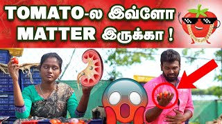 Why Tomato is considered Queen of Cooking? | இனிமேல் இத தெரிஞ்சிக்கிட்டு தக்காளி வாங்க போங்க!