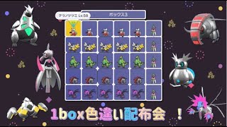 【ポケモンSV】「色違いパラドックス未来種」1BOX配布！1週間毎日色違い配布【２日目】