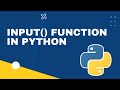 Python tutorial: Input() function