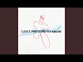 Can't Pretend To Know