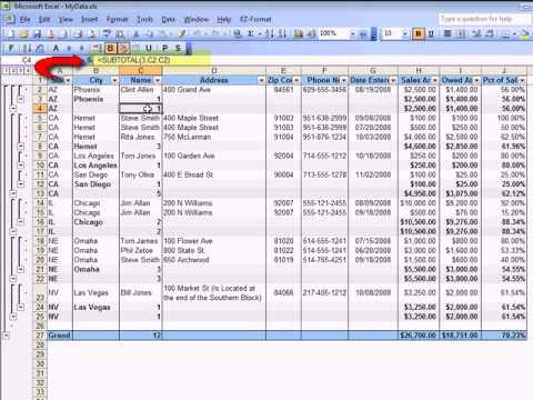 Changing Excel Subtotal Row Height Changing Excel Subtotal Row Height