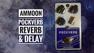 Ammoon Pockverb Reverb and Delay Pedal Demo