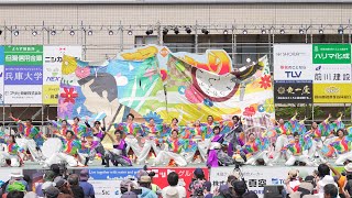 [4K] 京炎そでふれ！輪舞曲　踊っこまつり 2023