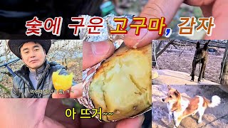 고구마 감자를 숯에 구워 강아지와 나눠 먹어보니??