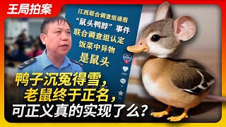 Wang's News Talk|The duck was vindicated, but justice really achieved?