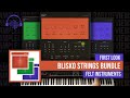 First Look:  Blisko Strings Bundle by Felt Instruments