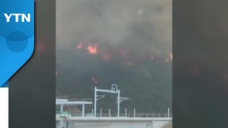 경북 울진 행곡리 야산 화재 확산...산불 2단계 발령 / YTN