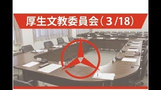 （3月18日厚生文教委員会2）平成31年第1回柏原市議会定例会