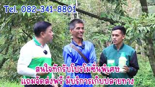 แก้ปัญหา สาเหตุจากสวนทุเรียนใช้สารเคมีมาก จนทำให้ติดเชื้อราและลดผลผลิตลงทุกปี