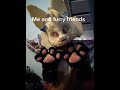 200+ subs! #200subs #tysm #furry #furries #fursuit #unfinishedfursuit #trend #shorts #ytshorts #fyp