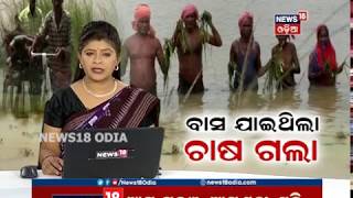 ବାସ ଯାଇଥିଲା ଚାଷ ଗଲା | NEWS18 ODIA