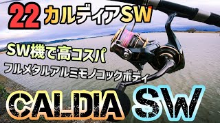 【22カルディアSW】性能高いのに高コスパのSW機をレビュー！2022年ダイワ新製品カルディアSW！ショアジギングやオフショアでも活躍！サワラから大型青物やマグロも網羅する最新リールインプレッション