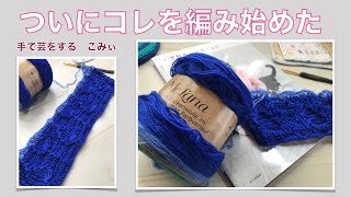 ついにコレを編み始めた【本日の手芸】today's handicraft