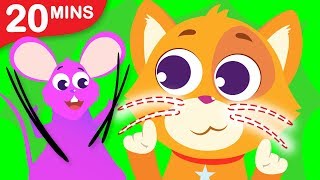 Did You See My Whiskers? Apples & Bananas | Where Are My Stripes? and + Sing Alongs by Little Angel