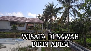 SPILL KONDISI PEMBANGUNAN WISATA DI SAWAH DESA MAS MAS | PEMANDANGANNYA ADEM NIHH‼️