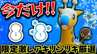 【ポケモンSV】今だけしか手に入らない限定個体!? 証率アップのキリンリキ大量発生イベントで普段付かない降雪の証や豪雪の証を狙ってみた!!【ポケモン】【色違いポケモン】【色違い厳選】