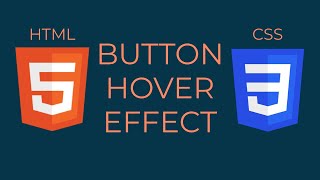 CSS Button Hover Effect - Front End Project Tutorial