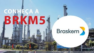 BRKM5/BRKM3 e BRKM6 - Saiba Tudo Sobre As Ações Da Braskem