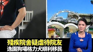 東張西望｜殘疾院舍疑虐待院友｜林盛斌陳庭欣等好友現身甄澤權婚禮｜逸園狗場格力犬順利移民到港｜朱凱婷 陳庭欣 區永權 朱智賢