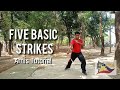 FIVE BASIC STRIKES | ARNIS