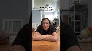 “What’s it like having chinchillas?” #shorts #pets #skit