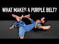 What Makes A Purple Belt? | The Simple Explanation