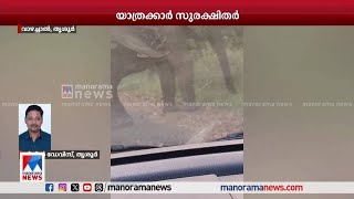 തൃശൂര്‍ വാഴച്ചാലില്‍ കാട്ടാനക്കൂട്ടം കാര്‍ ആക്രമിച്ചു | Thrissur | Wild Elephants