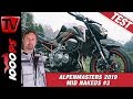 Kawasaki Z900 im Alpenmasters Test - Vergleich - Naked Bike Mittelklasse 3/4