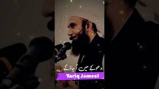 Ye Duniya Dhoke ka Ghar H 😱🥀💯💥 || Maulana Tariq Jameel status || Tariq Jameel short clip || #viral