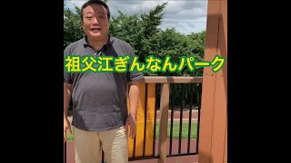 【祖父江ぎんなんパーク】