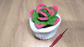 鉤針多肉植物收納盒[Crochet]